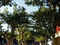 Foto  001